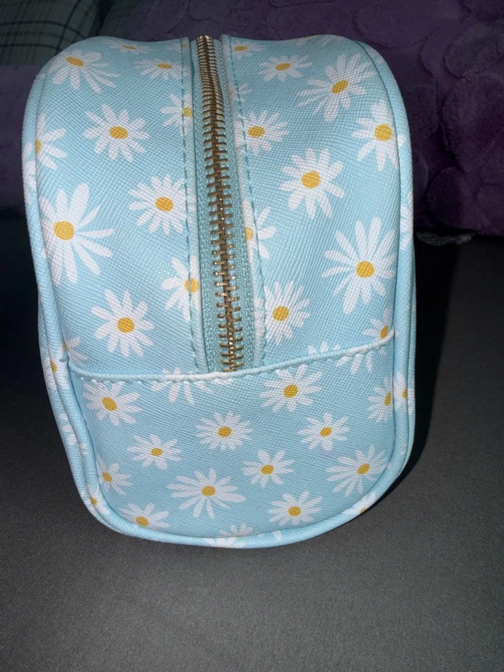 Vintage Daisy Print Light Blue Cosmetic Pouch